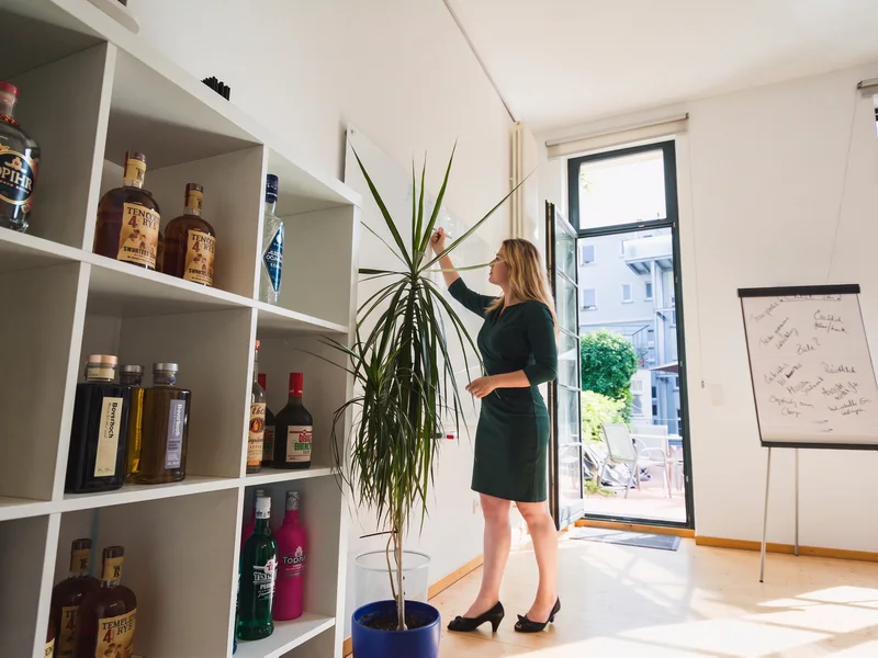Helles Büro mit offenem Regal, großer Zimmerpflanze und einem Flipchart am Fenster.